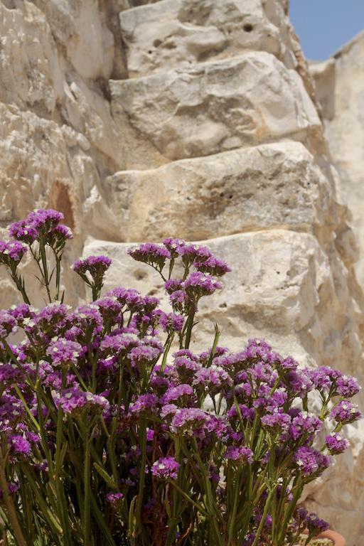Masseria Madonna Dell'Arco Agriturismo Μαρτίνα Φράνκα Εξωτερικό φωτογραφία